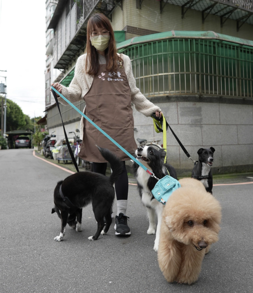 Top 10 Dog Walkers, Dog Sitters, Cat Sitters, Pet Sitters in Taipei | English Service | Fluv.com