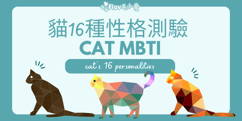 【貓咪MBTI測驗】貓咪的16種性格測驗