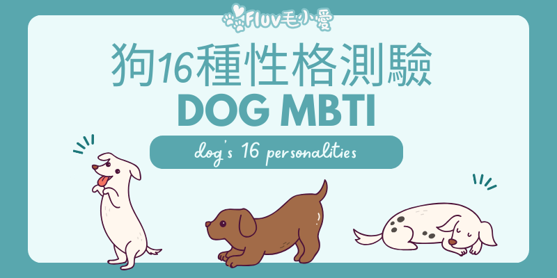 【狗狗MBTI測驗】狗狗的16種性格測驗