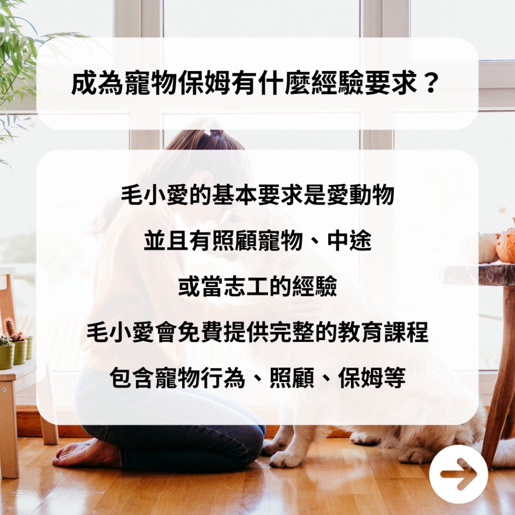 成為寵物保姆有什麼經驗要求？